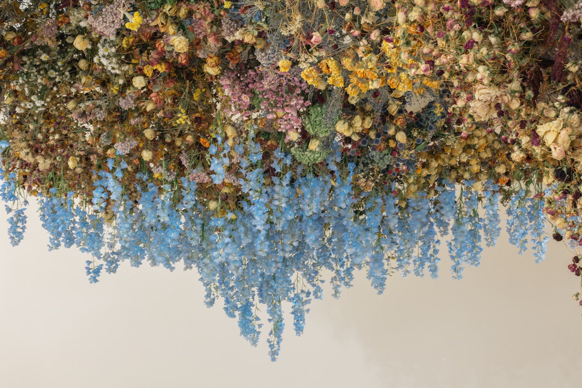 ARTIST SPOTLIGHT - REBECCA LOUISE LAW