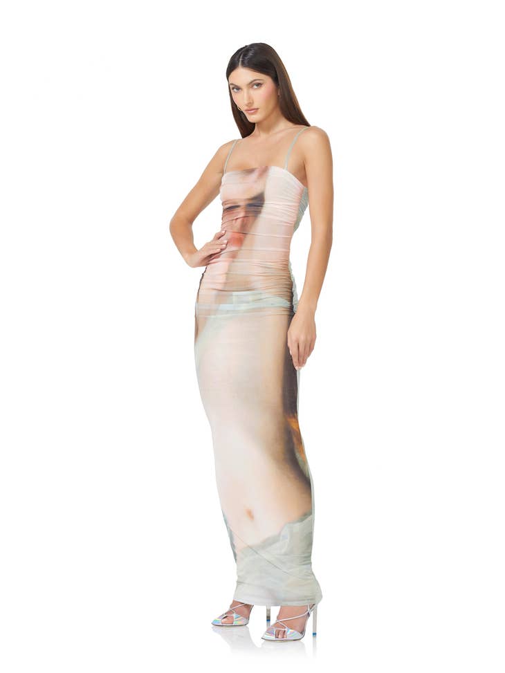 Jennan Ruched Photoprint Mesh Maxi Dress - Nude Portrait