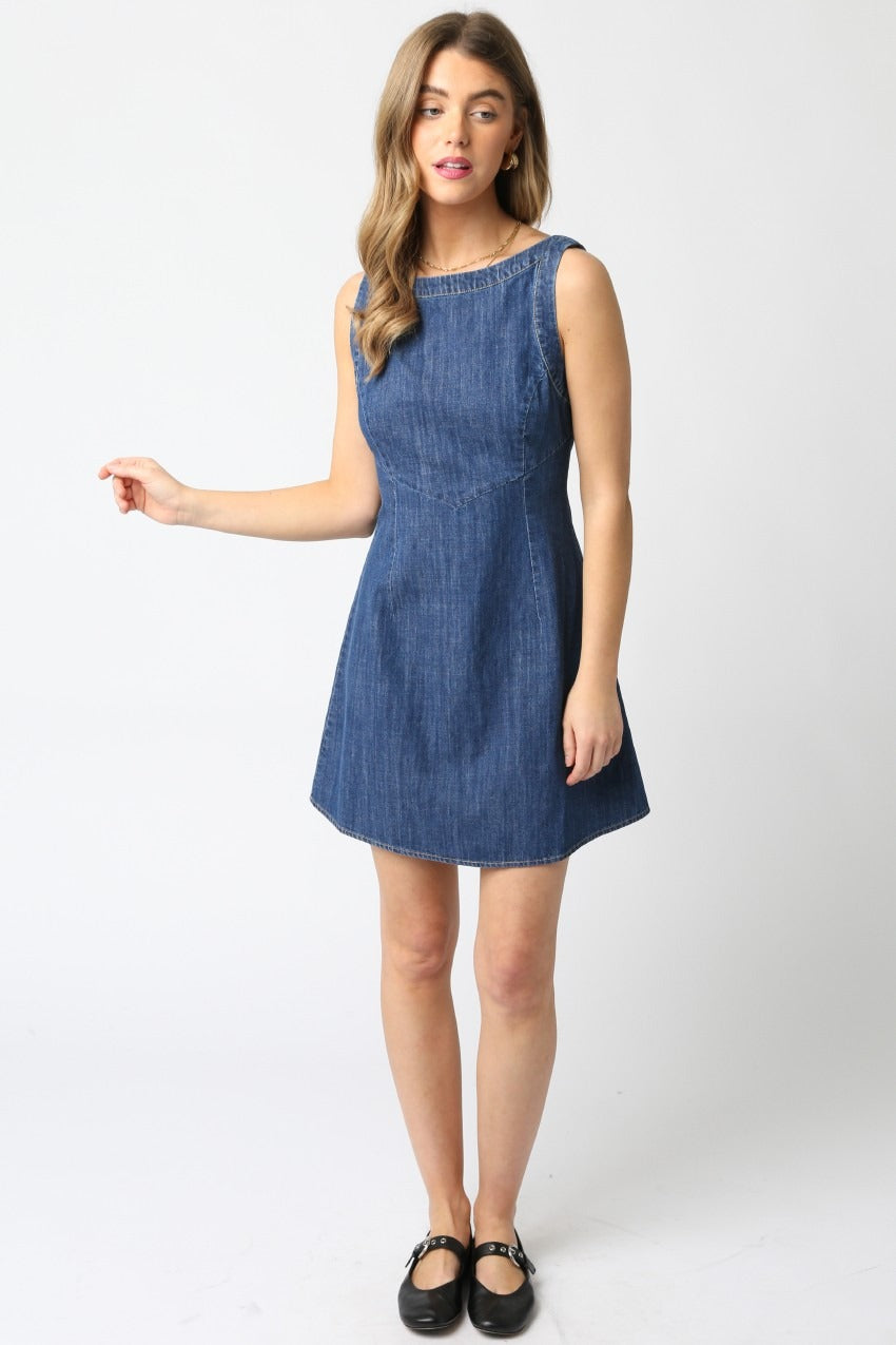 Maya Sleeveless Denim Zipper Back Dress