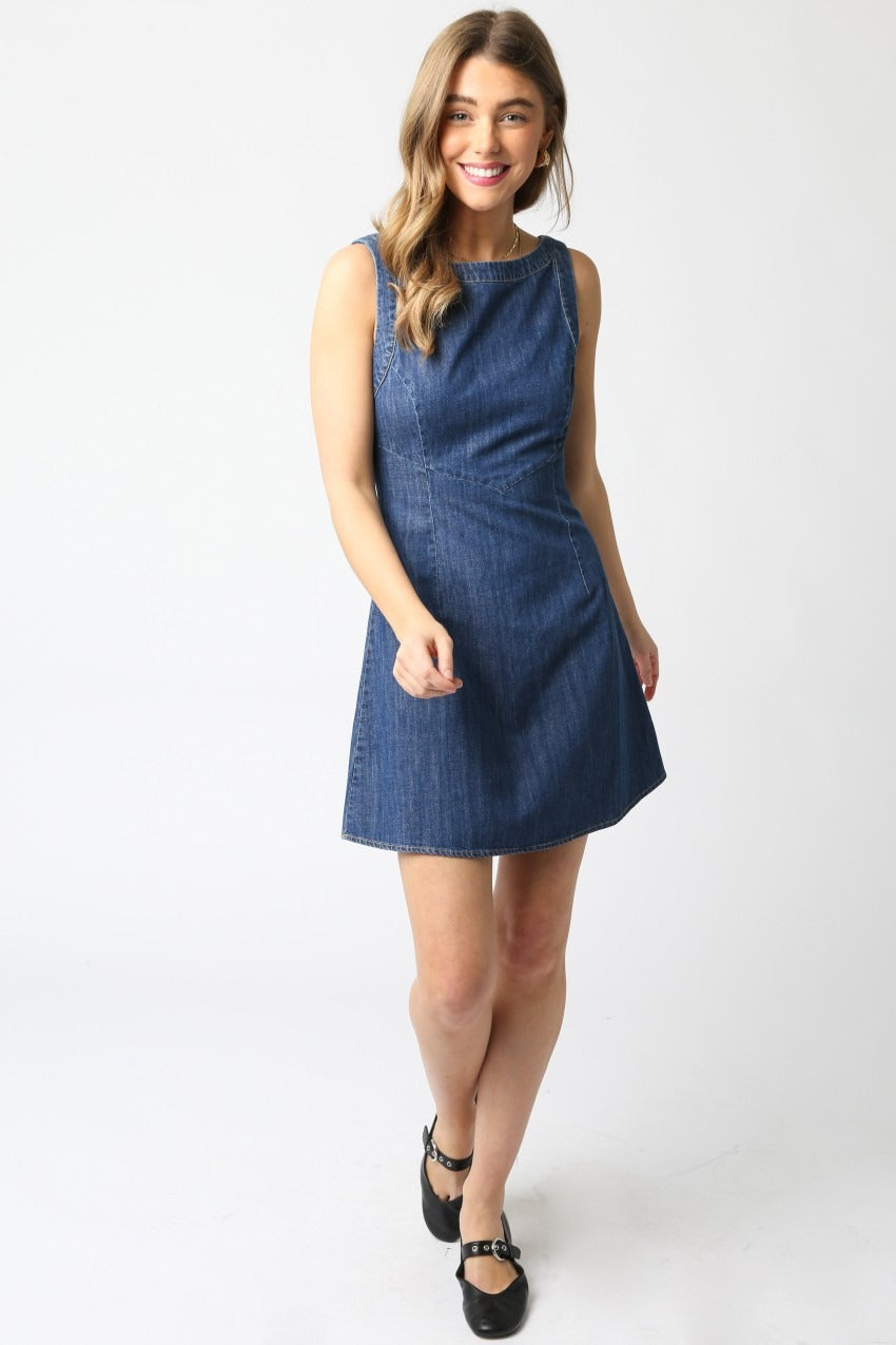 Maya Sleeveless Denim Zipper Back Dress