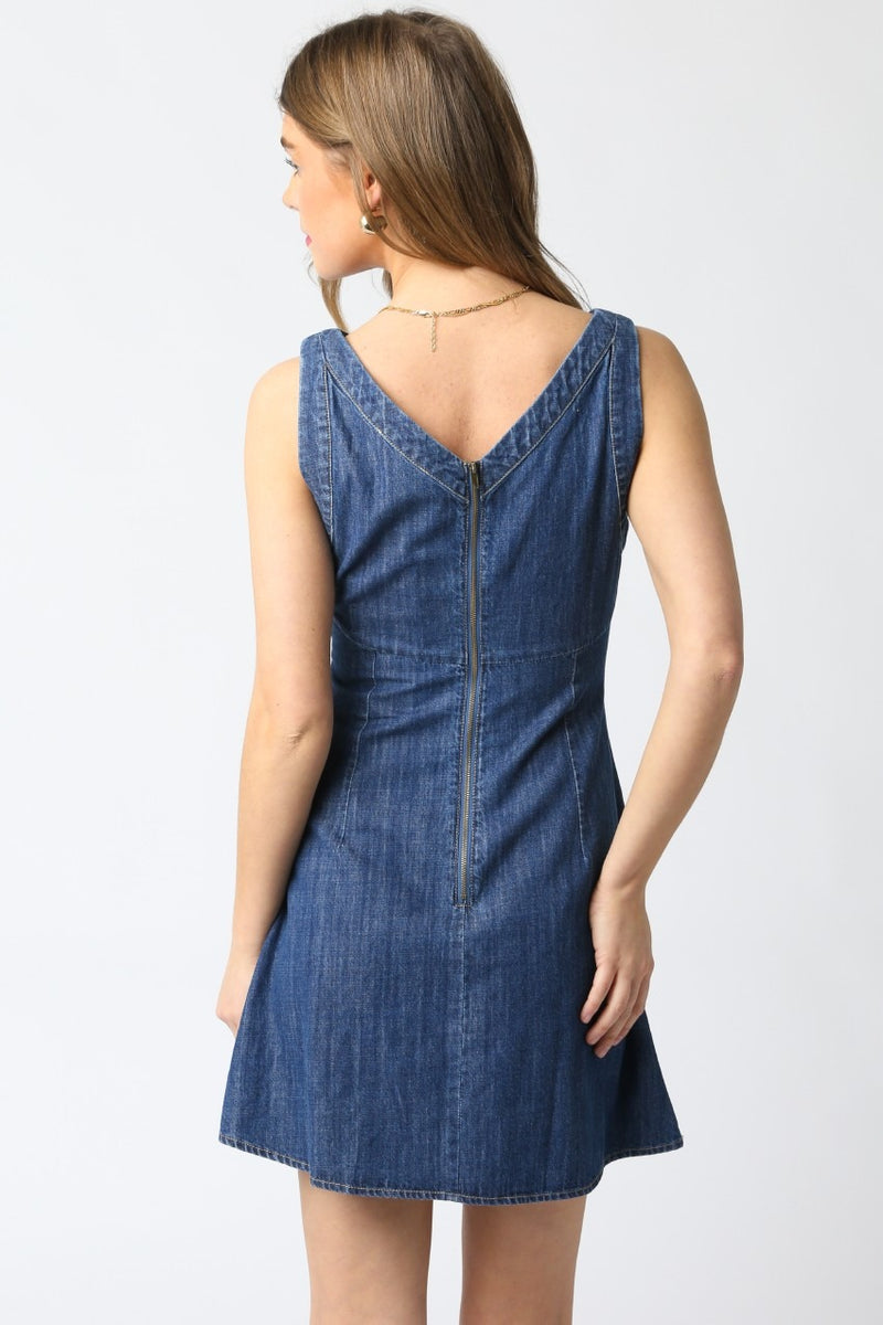 Maya Sleeveless Denim Zipper Back Dress