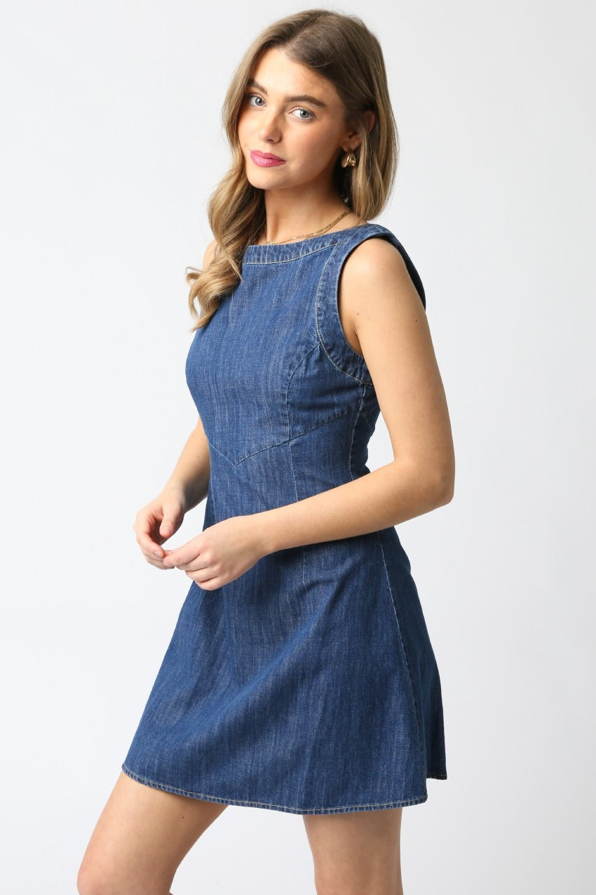 Maya Sleeveless Denim Zipper Back Dress
