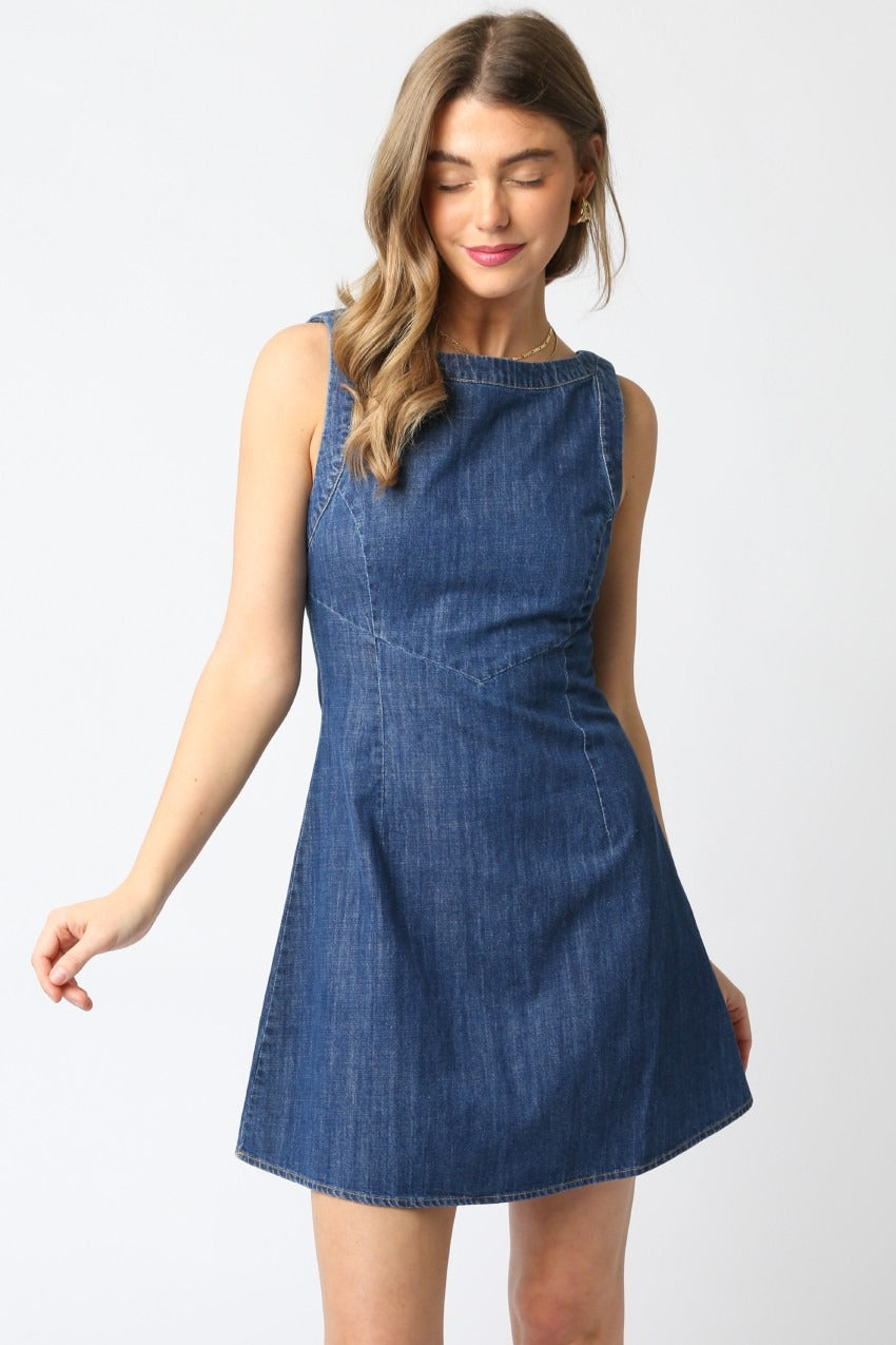 Maya Sleeveless Denim Zipper Back Dress