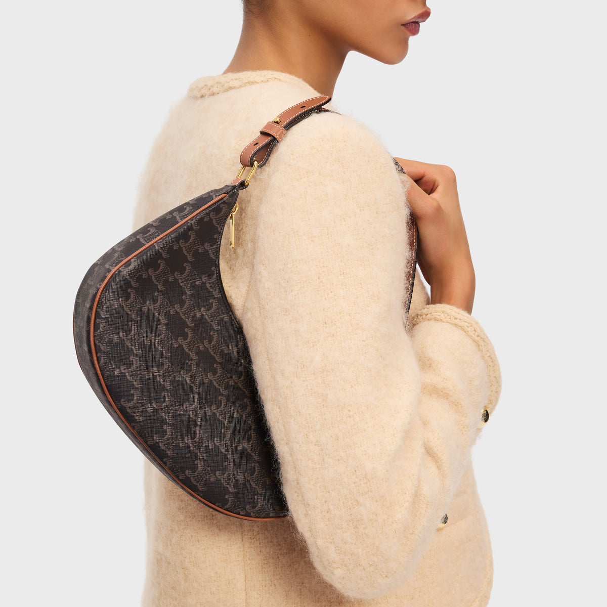 Celine Ava Bag in Triomphe Canvas and Calfskin