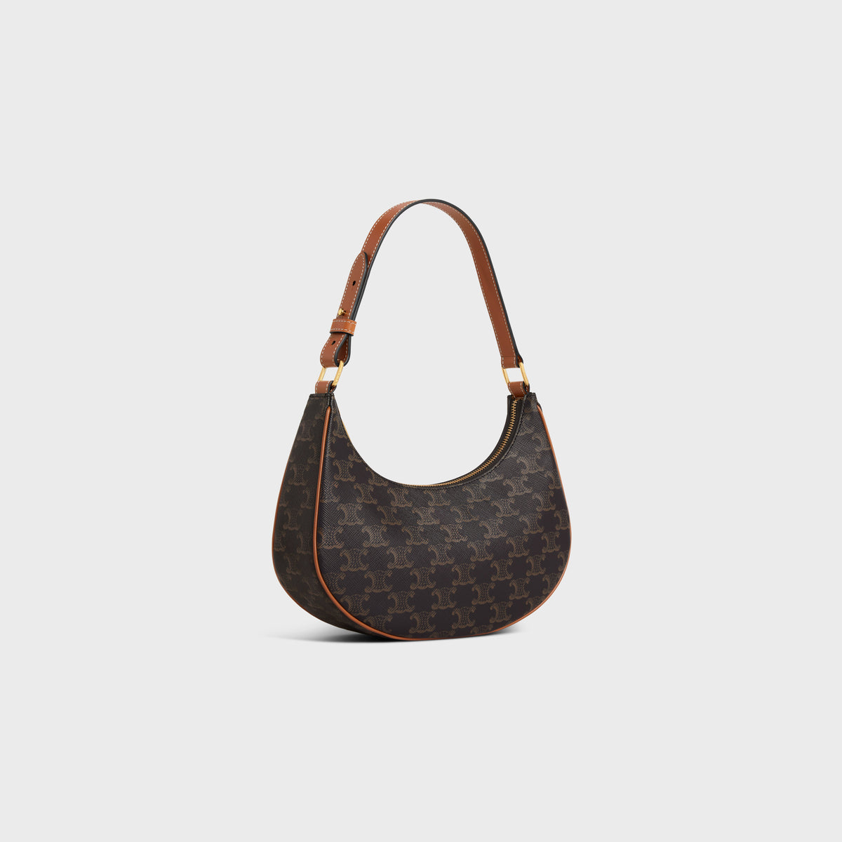 Celine Ava Bag in Triomphe Canvas and Calfskin