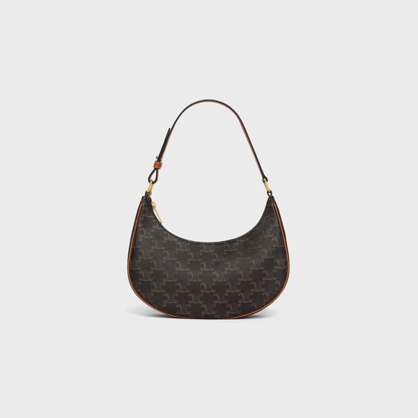 Celine Ava Bag in Triomphe Canvas and Calfskin