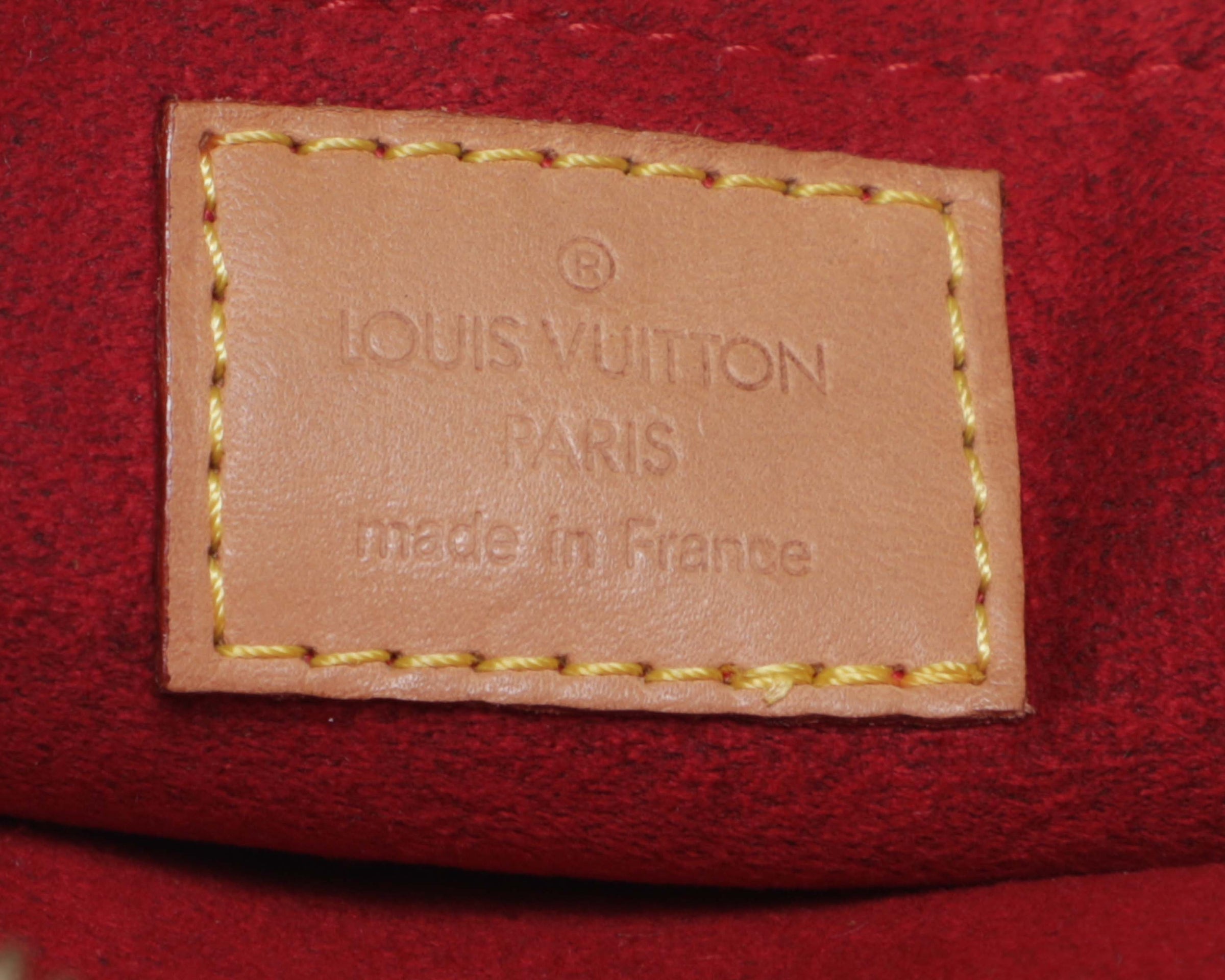 LOUIS VUITTON Monogram Mini Coussin Shoulder Bag